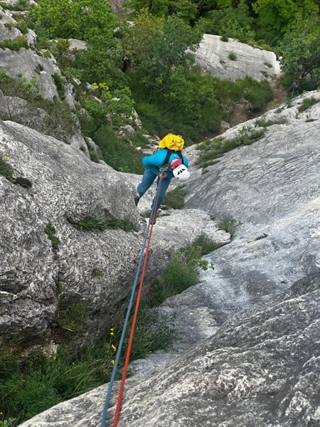 Botschafter Radek ZOBAN Lienert